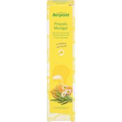 Propolis Mundgel 13,5 ml