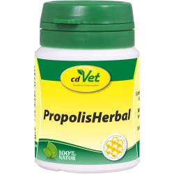 Propolis Herbal Pulver vet. 20 g