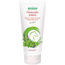 Pferdesalbe kühlend 200 ml