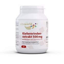 Kiefernrindenextrakt 500 mg 95% Opc Kapseln 60 St