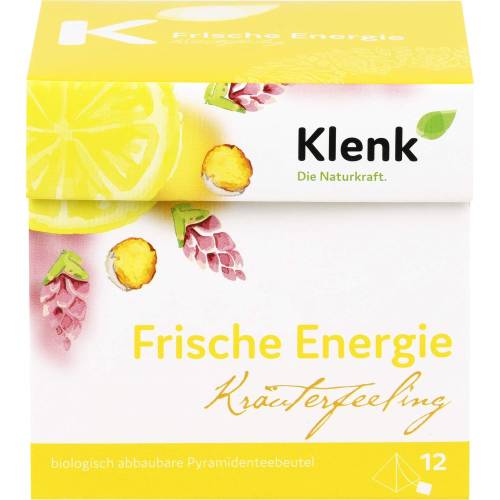 Frische Energie Tee Pyramidenbeutel 30 g