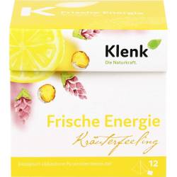 Frische Energie Tee Pyramidenbeutel 30 g