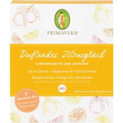 Set Duftendes Zitrusglück ätherisches Öl 1 P