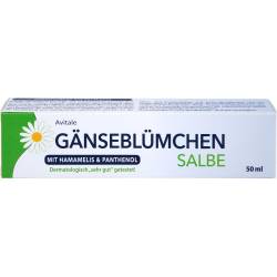 Gänseblümchen Salbe m.Hamamelis & Panthenol 50 ml