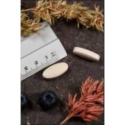 Vitamin C 1000 Plus Kal Retardtabletten 250 St