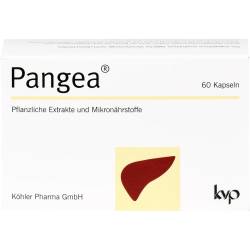 Pangea Kapseln 60 St