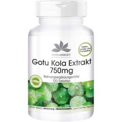 Gotu Kola Extrakt 750 mg Tabletten 120 St