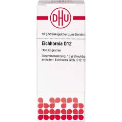 Eichhornia D 12 Globuli 10 g
