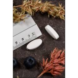 Magnesium Citrat 400 mg Kal Tabletten 60 St