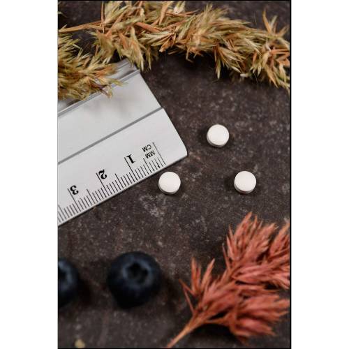 Vitamin D3 1000 I.E. ActivMelt Kal Sublingualtabl. 100 St