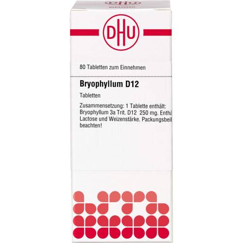 Bryophyllum D 12 Tabletten 80 St