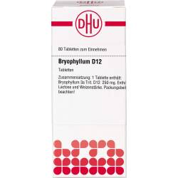 Bryophyllum D 12 Tabletten 80 St