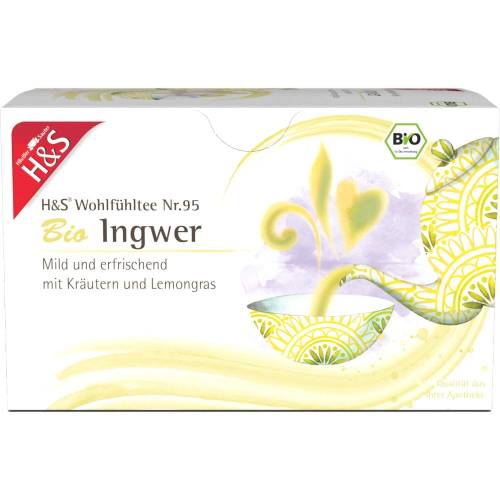 H&S Bio Ingwer Filterbeutel 40 g