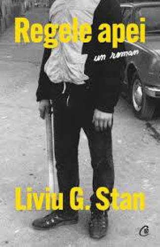 Regele apei, Liviu G. Stan - Carte - Curtea Veche