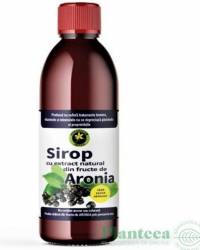 Sirop aronia fara zahar, eco-bio, 500 ml, Hypercum