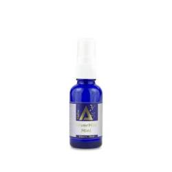 Silver Mist Mini, pulverizator spray cu argint coloidal 10ppm, Alchemy, 30ml - AGHORAS