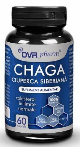 Chaga 60 capsule - DVR Pharm