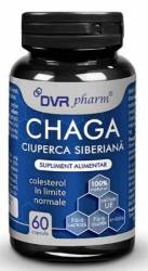 Chaga 60 capsule - DVR Pharm