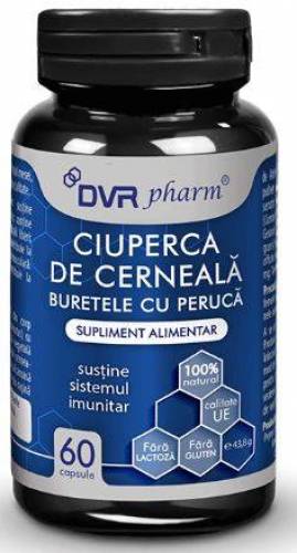Ciuperca de cerneala 60 capsule - DVR Pharm