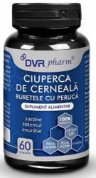 Ciuperca de cerneala 60 capsule - DVR Pharm