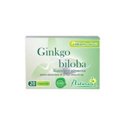 Ginkgo biloba 40mg,  20 capsule, Naturalis