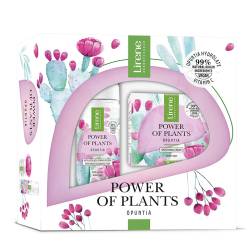 Set Opuntia Power Of Plants, Lirene