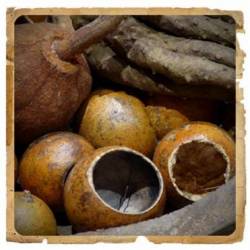 Unt de shea nerafinat, 50g - Le Erbe di Janas