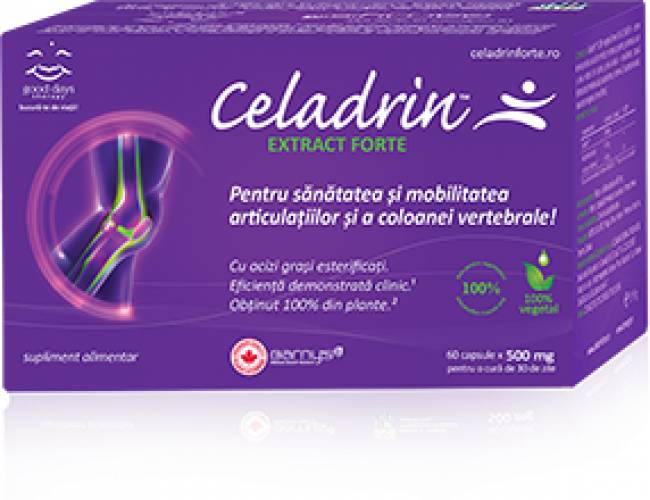 Celadrin Extract Forte 500mg 60cps Good Days Barnys