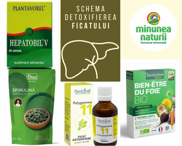 Schema detoxifiere hepatica, steatoza hepatica (ficat gras) si curatarea ficatului