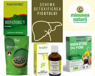 Schema detoxifiere hepatica, steatoza hepatica (ficat gras) si curatarea ficatului