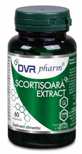 Scortisoara Extract 60 capsule - DVR Pharm