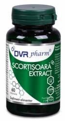 Scortisoara Extract 60 capsule - DVR Pharm