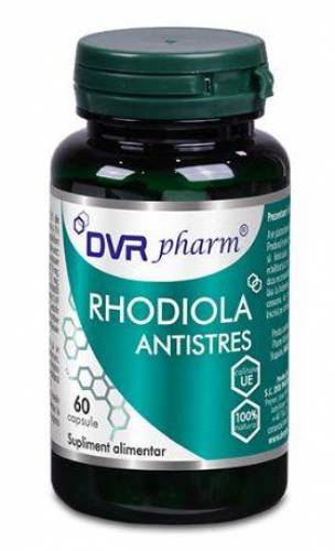 RHODIOLA ANTISTRES 60 Capsule - DVR PHARM