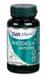 RHODIOLA ANTISTRES 60 Capsule - DVR PHARM
