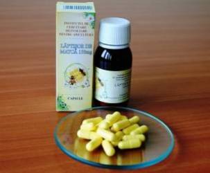 Laptisor de matca pur 30cps - Institutul Apicol