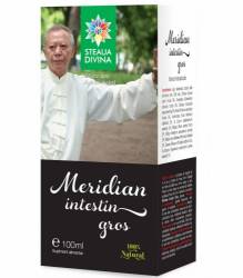 TINCTURA MERIDIAN INTESTIN GROS 100ml, Steaua Divina