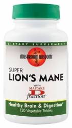 Super Lion's Mane 120tb - Mushroom Wisdom Inc - Secom