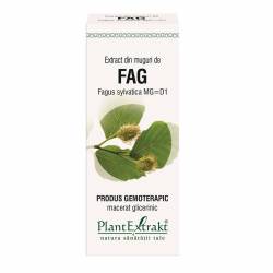Fag - muguri - gemoderivat - 50ml - PlantExtrakt