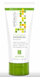 Gel de dus, Citrus Sunflower Uplifting Shower Gel, 251ml - Secom - Andalou