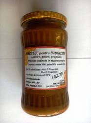 AMESTEC APICOL PENTRU IMUNITATE 450g