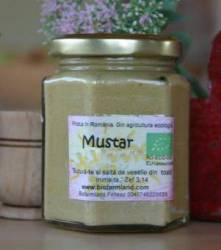 Mustar cu hrean BIO 200ml - Biofarmland