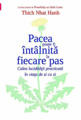 Pacea poate fi intalnita la fiecare pas - Thich Nhat Hanh - Adevar Divin