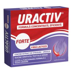 Uractiv Forte fara lactoza, 10 capsule, Uractiv