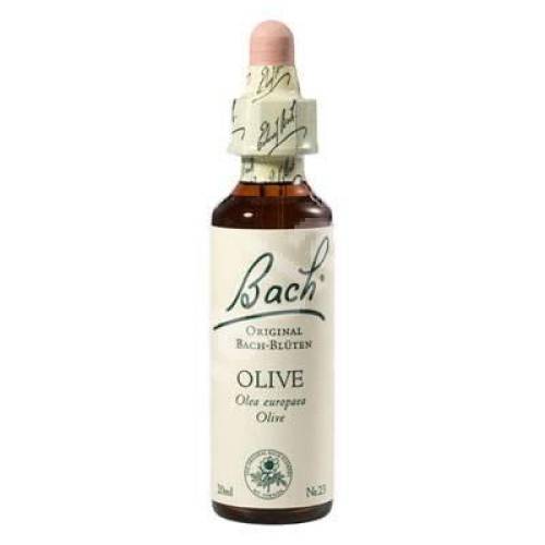 Olive - Maslin  (Bach23) - Remediu Floral Bach