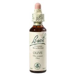 Olive - Maslin  (Bach23) - Remediu Floral Bach