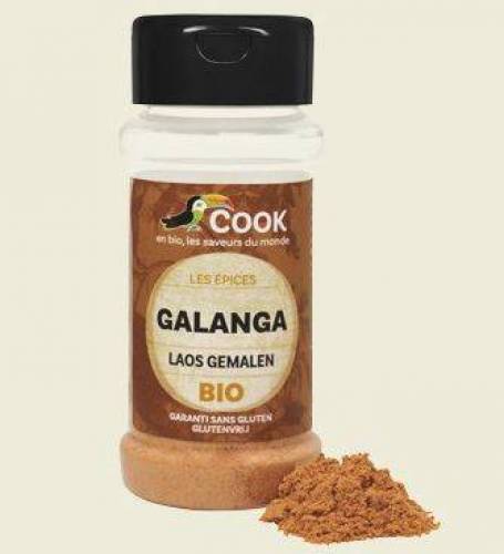 Galangal pudra eco-bio 25g, Cook