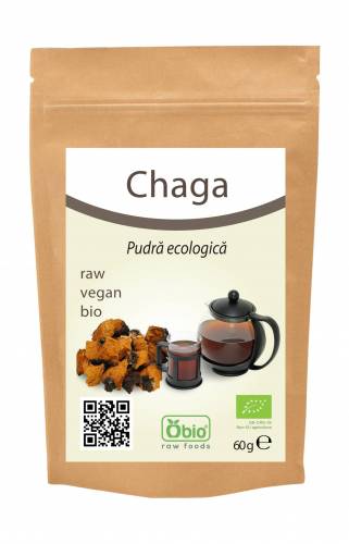 CHAGA pulbere raw bio 60g - OBio