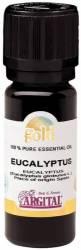 Ulei esential de eucalipt, 10ml - Argital Gold
