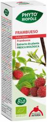 Extract Bio De Zmeura, 50ml - Phyto Biopole