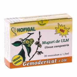 Ulm muguri - gemoderivat 30monodoze - Hofigal